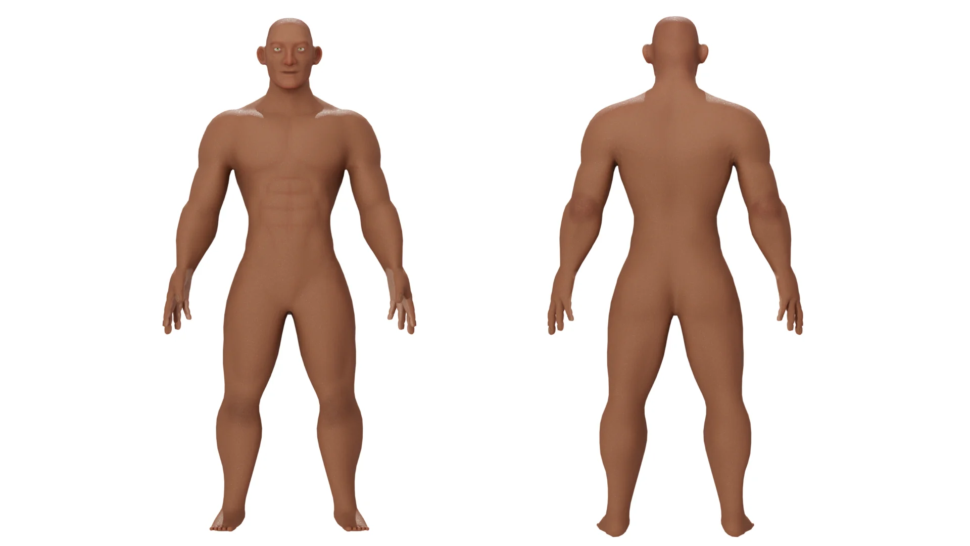 Front and back view of the 3D base mesh body for Hojo Era without armor.